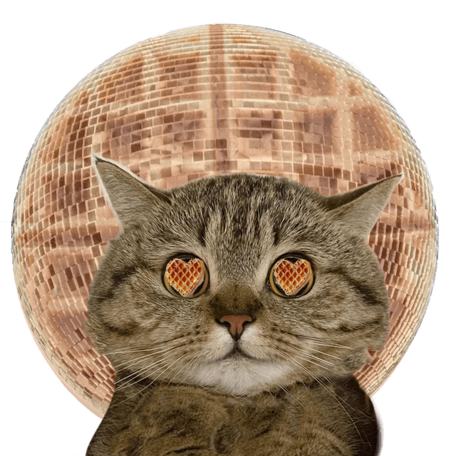 Disco cat mascot